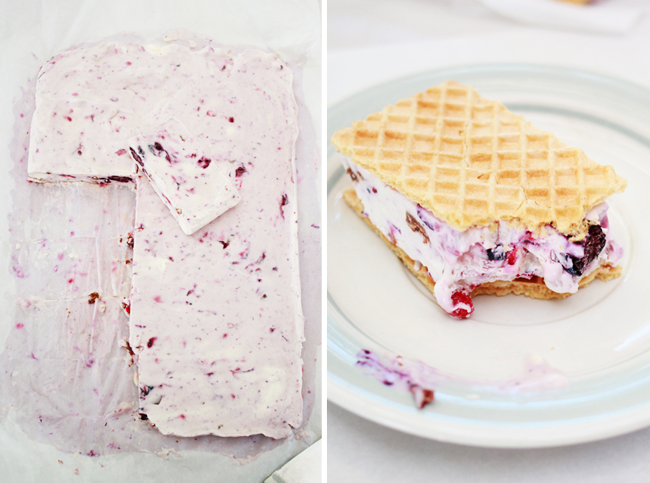 Berry & Chocolate Homemade Ice Cream Sandwiches from www.highwallsblog.gr.com