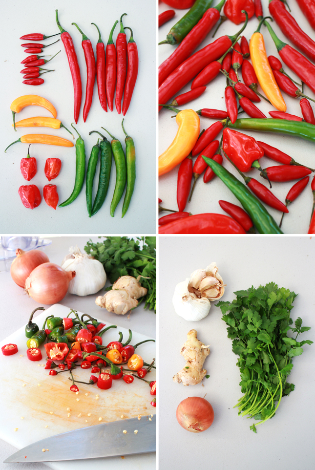 Recipe for Chili Sauce | www.highwallsblog.gr.com