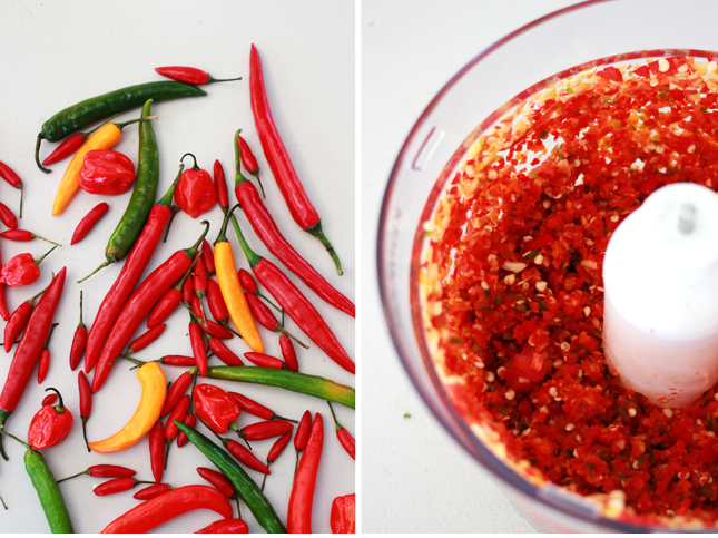 Recipe for Chili Sauce | www.highwallsblog.gr.com