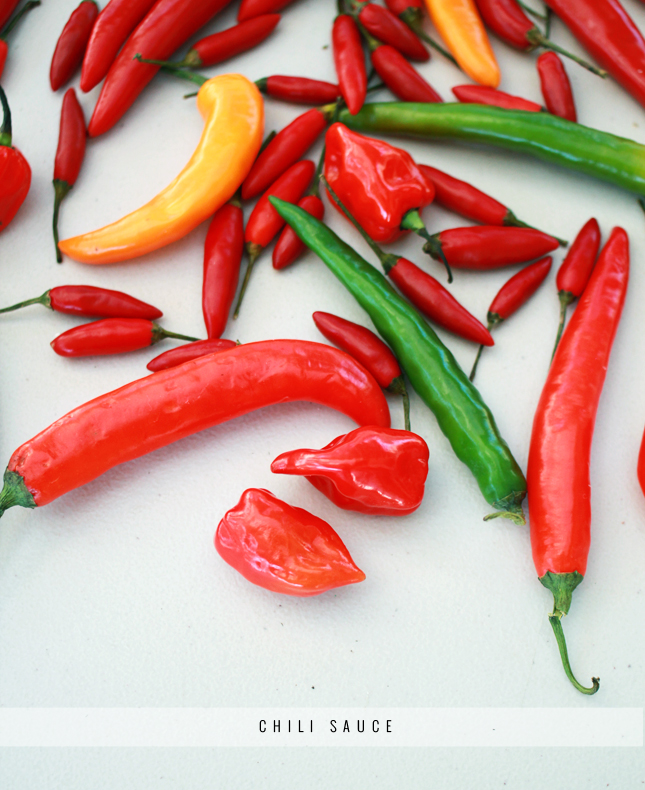 Recipe for Chili Sauce | www.highwallsblog.gr.com