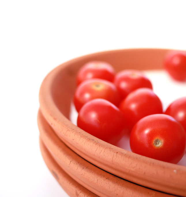 From the Garden to the Table: DIY Terracotta Dinnerware | www.highwallsblog.gr.com