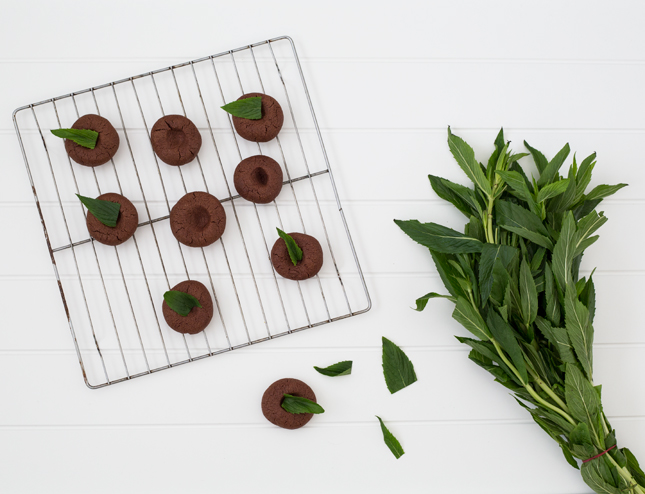 RECIPE | Choc Mint Drops By Erika Rax for www.highwallsblog.gr.com (blog.erikarax.com/)