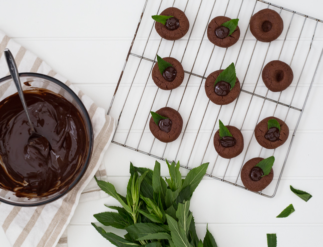 RECIPE | Choc Mint Drops By Erika Rax for www.highwallsblog.gr.com (blog.erikarax.com/)