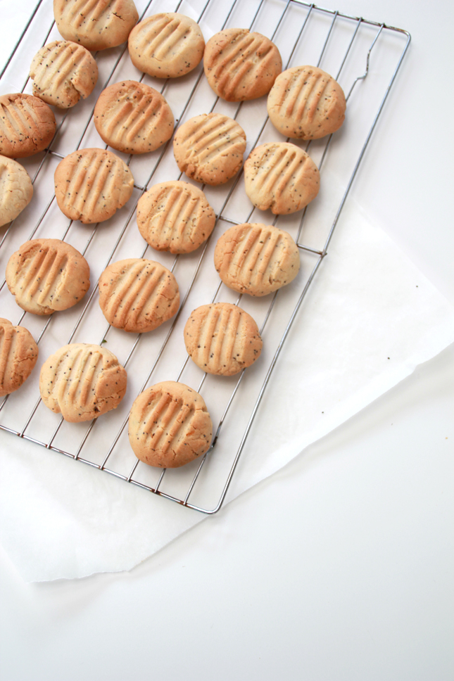 GLUTEN FREE Lemon, Honey & Poppy Seed Cookies | Recipe from www.highwallsblog.gr.com