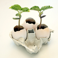 thumb-egglet