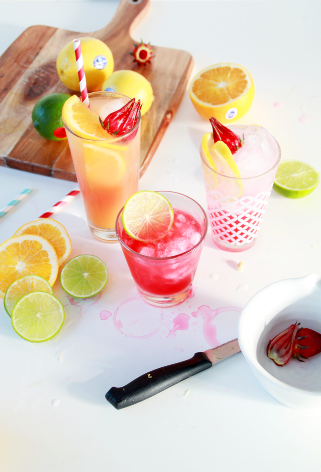 3 Rosella & Vodka Cocktails -  See the full recipes at www.highwallsblog.gr.com