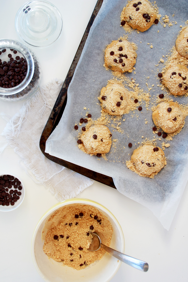 Chocolate Chip Crumb Cookie Ice Cream Sandwiches! WOW! | www.highwallsblog.gr.com