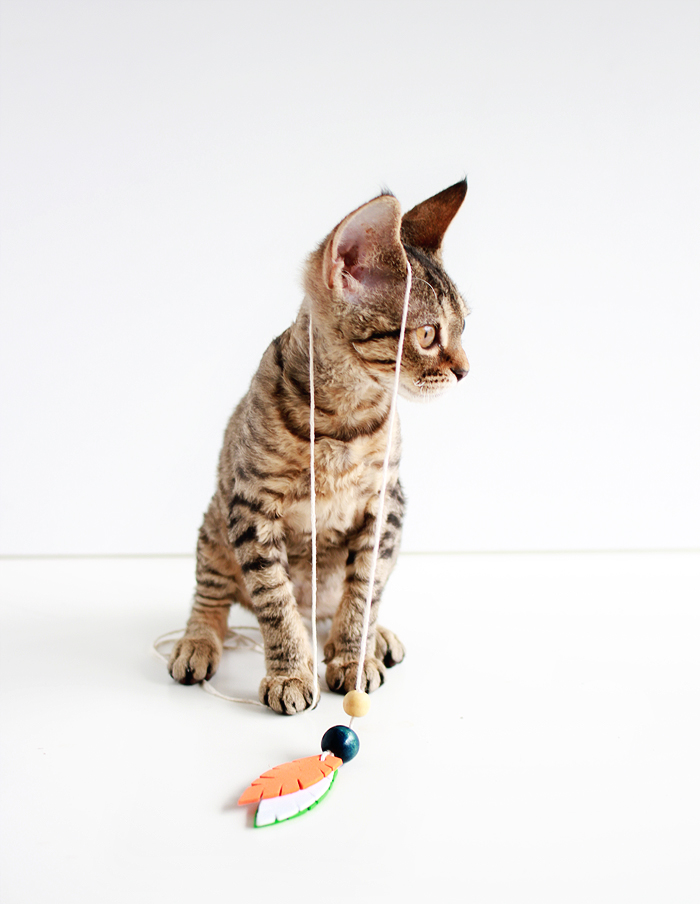 Entertain your feline friends: DIY Feathered Cat Toys | www.highwallsblog.gr.com