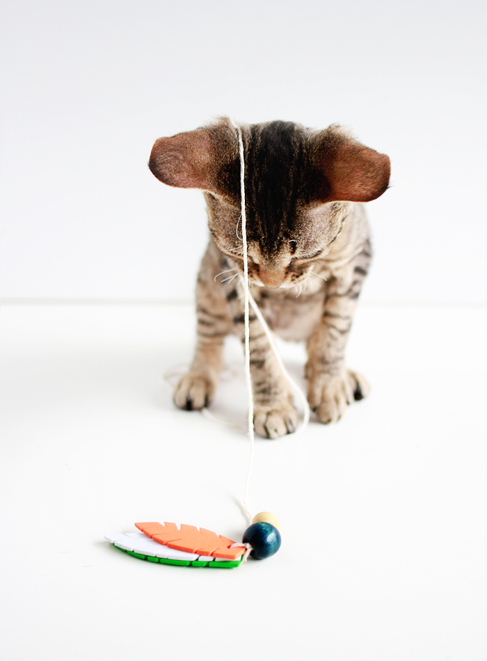 Entertain your feline friends: DIY Feathered Cat Toys | www.highwallsblog.gr.com